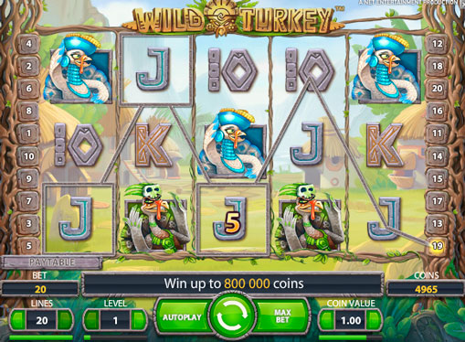 Slot machine Wild Turkey for real money