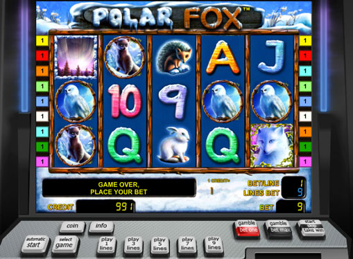 Polar Fox Play the slot online