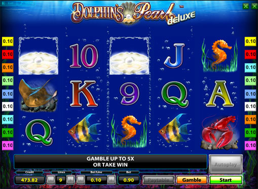 Winning line of slot Dolphins Pearl Deluxe